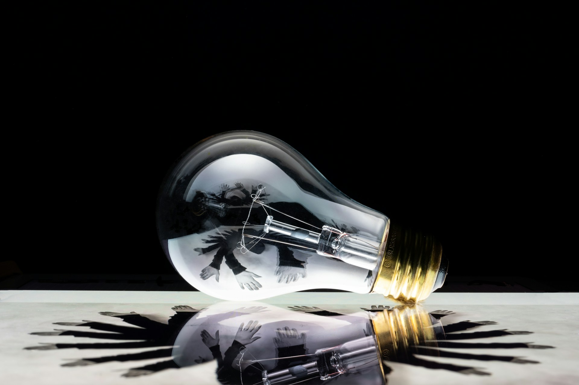 Kaltravendro imagine